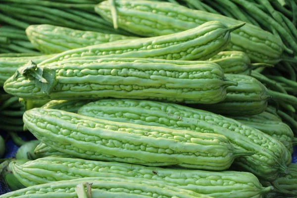 Bitter Meloen Kalebas Voor Het Koken Markt — Stockfoto