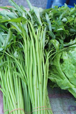 Yeşil sabah markette yemek pişirmek için zafer