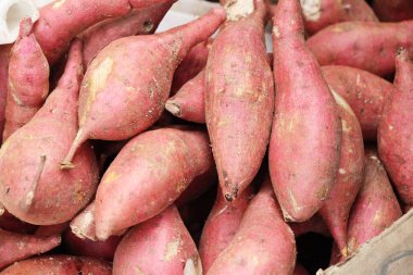 Pazarda yemek yapmak için taze yer elması.