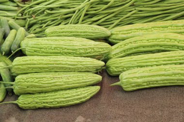 Pazarda yemek pişirmek için acı kavun kabak