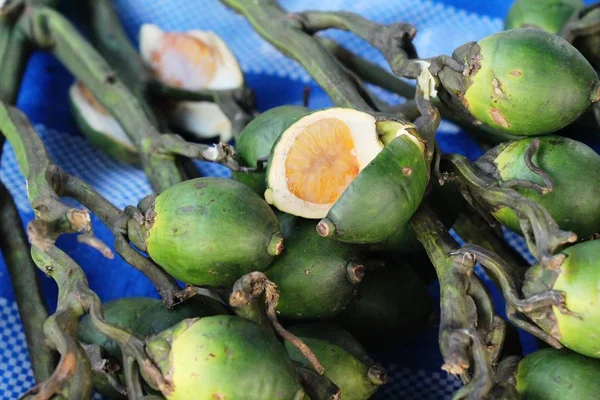 Betel palm with nature at street food