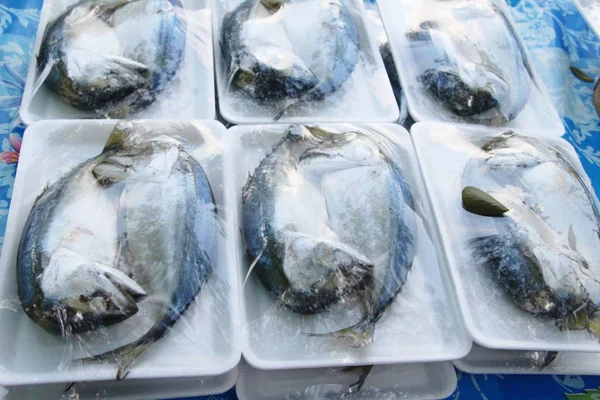 Makreel Vissen Straat Eten Heerlijk Gestoomde — Stockfoto