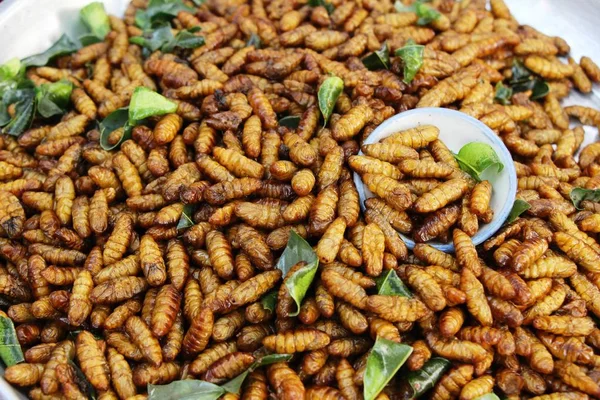 Fried Silk Worms Delicious Street Food — Stock Photo, Image