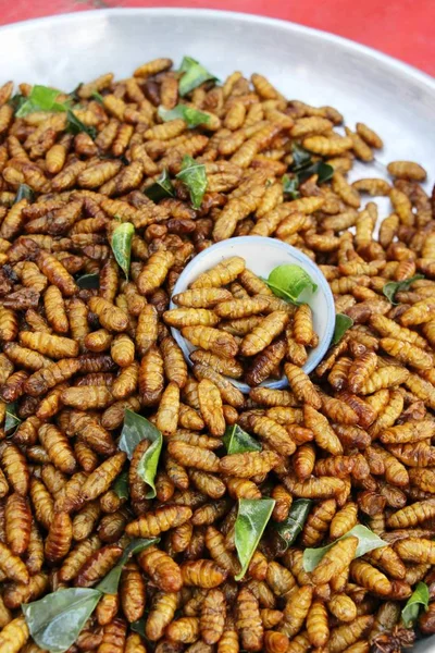 Vermes Seda Fritos Deliciosos Comida Rua — Fotografia de Stock