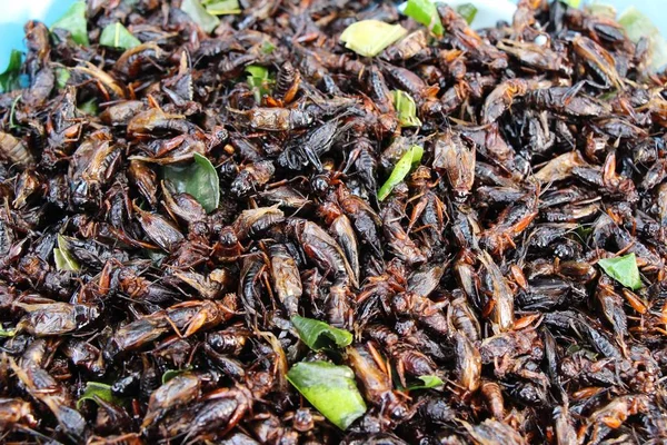 Gusanos Seda Fritos Deliciosos Comida Callejera —  Fotos de Stock