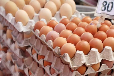 Piyasada panelinde yumurta