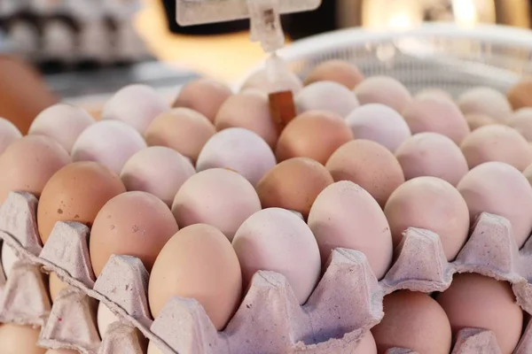 Ägg Panelen Marknaden — Stockfoto