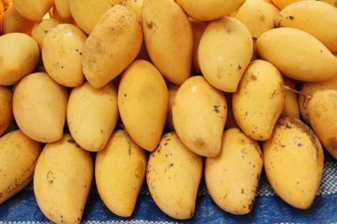 Sokak gıda lezzetli meyve olgun mango