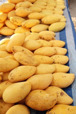 Sokak gıda lezzetli meyve olgun mango