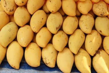 Sokak gıda lezzetli meyve olgun mango