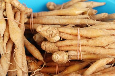 Belgili tanımlık çarşı içinde yemek pişirmek için zencefil kökü