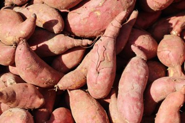 Pazarda yemek yapmak için taze yer elması.