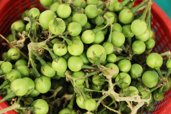 Taze patlıcan yeşil organik bir grup olduğunu