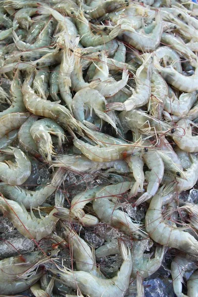 Čerstvé Krevety Vaření Pouliční Stánky Jídlem — Stock fotografie