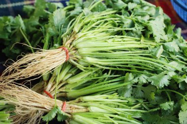 Belgili tanımlık çarşı içinde yemek pişirmek için taze kişniş