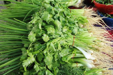 Belgili tanımlık çarşı içinde yemek pişirmek için taze kişniş