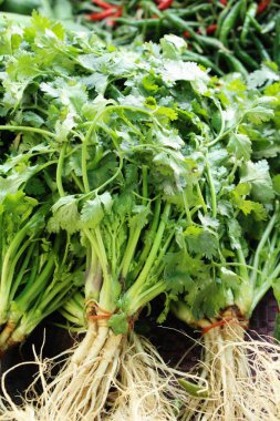 Belgili tanımlık çarşı içinde yemek pişirmek için taze kişniş