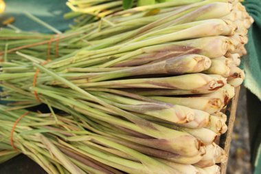 Taze limon otu pazarda yemek pişirmek için