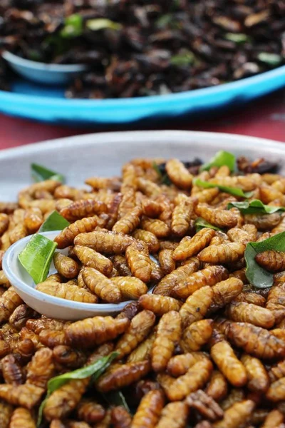 Vermi Seta Fritti Deliziosi Nel Cibo Strada — Foto Stock