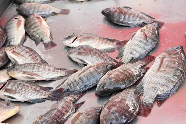 Свежая Рыба Приготовления Пищи Улице — стоковое фото