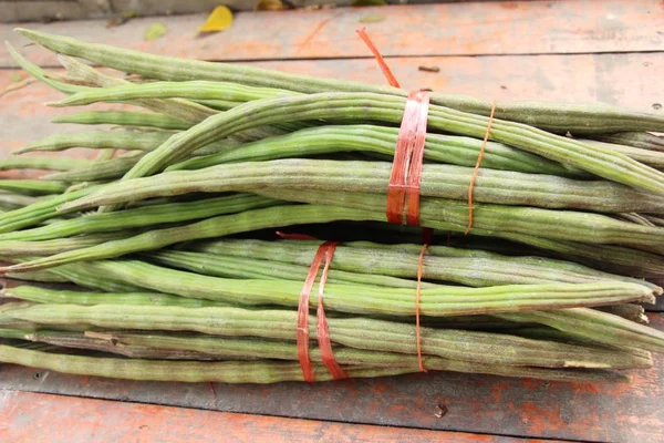 Moringa oleifera or drumstick vegetable