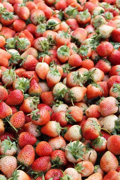 Fragole Fresche Delizioso Cibo Strada — Foto Stock