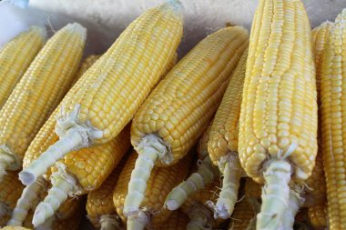 Belgili tanımlık çarşı içinde yemek pişirmek için taze Mısır