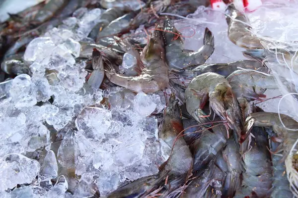 Fresh Shrimp Cooking Street Food — Stock Photo, Image