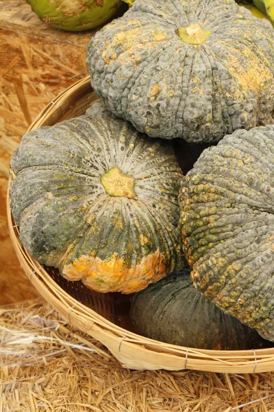 Citrouille Fraîche Pour Cuisiner Sur Marché — Photo