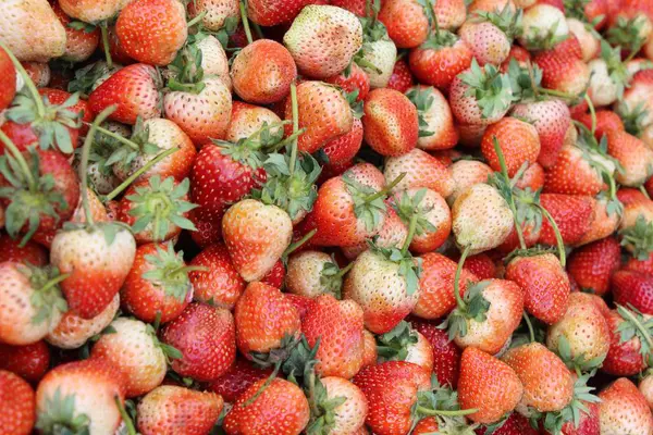 Fragole Fresche Delizioso Cibo Strada — Foto Stock