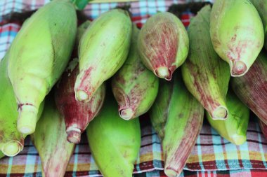 Belgili tanımlık çarşı içinde yemek pişirmek için taze Mısır