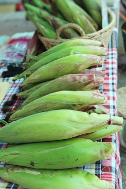 Belgili tanımlık çarşı içinde yemek pişirmek için taze Mısır