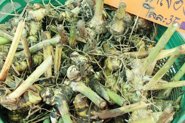 Belgili tanımlık çarşı içinde yemek pişirmek için taze havlıcan