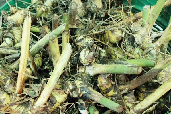 Belgili tanımlık çarşı içinde yemek pişirmek için taze havlıcan