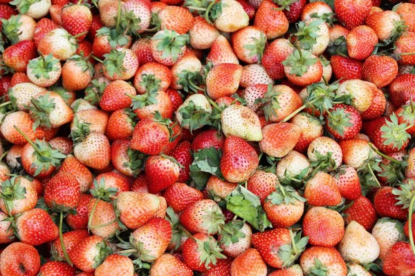 Fragole Fresche Delizioso Cibo Strada — Foto Stock