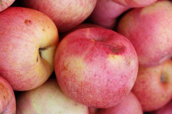 Jabłko Jest Pyszne Ulicy Żywności — Zdjęcie stockowe