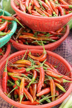 Sokak gıda yemek pişirmek için taze biber
