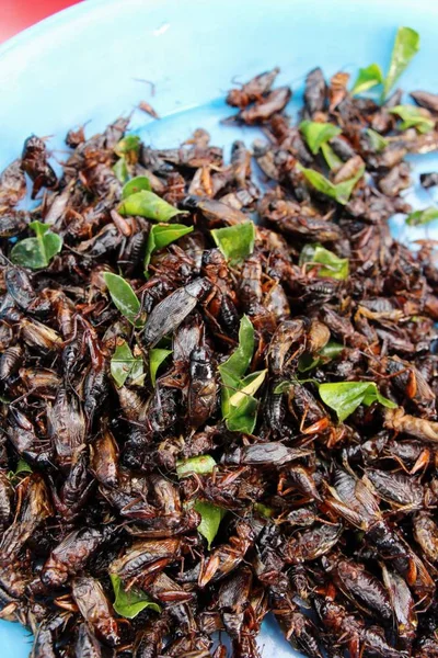 Insetti Fritti Delizioso Cibo Strada — Foto Stock