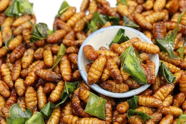 Fried Silk Worms Delicious Street Food — Stock Photo, Image