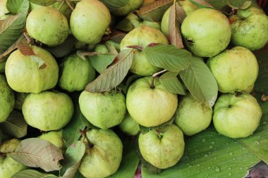 Guava meyve sokak gıda lezzetlidir