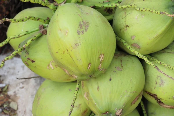 Kokosnød Frugt Lækker Gaden Mad - Stock-foto