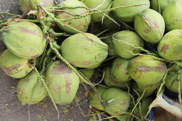 Kokosnoot Vrucht Heerlijk Straat Eten — Stockfoto