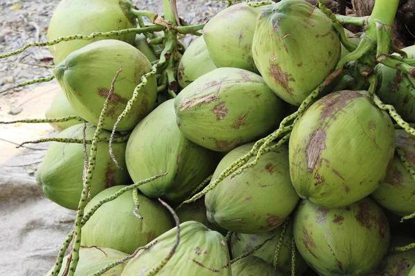 椰子果实是在街边食物美味 — 图库照片
