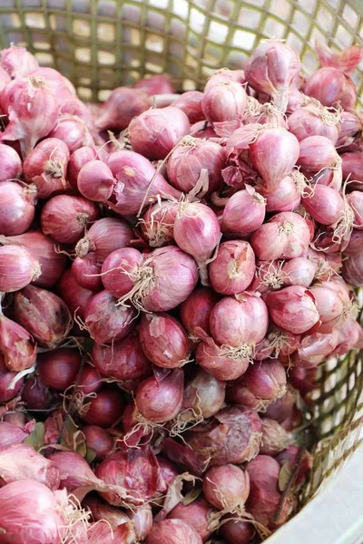 Zwiebeln Und Schalotten Zum Kochen Auf Dem Markt — Stockfoto
