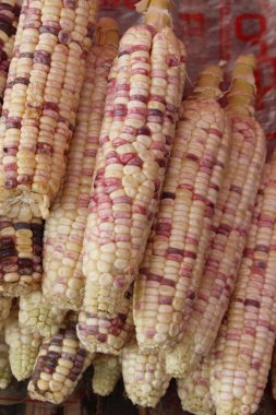 Belgili tanımlık çarşı içinde yemek pişirmek için taze Mısır