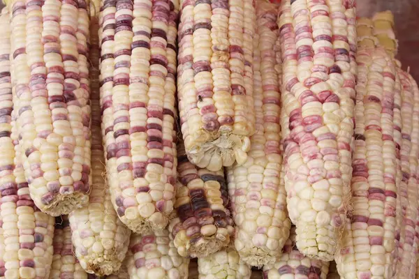 Свежая Кукуруза Приготовления Пищи Рынке — стоковое фото