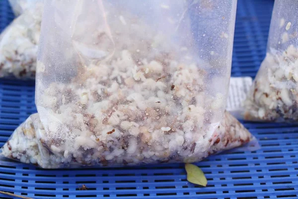 Eier Ameisen Zum Kochen Auf Dem Markt — Stockfoto