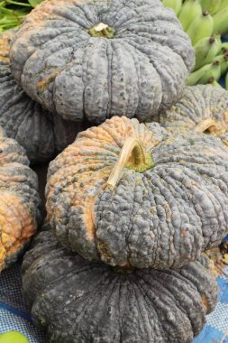 Belgili tanımlık çarşı içinde yemek pişirmek için taze kabak