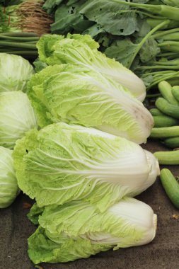 Sokak gıda yemek pişirmek için taze lahana