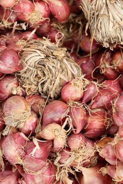 Soğan ve arpacık markette yemek pişirmek için